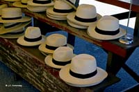 23-Panama Hats